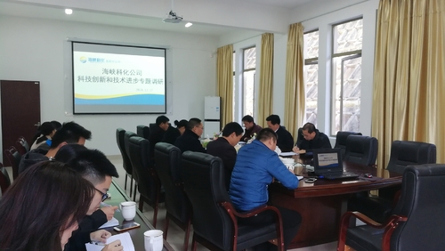 鐘林琳：海峽科化公司總經(jīng)理顏建議一行蒞臨龍巖分公司開展開展科技創(chuàng)新和技術進步專題調(diào)研2.jpg