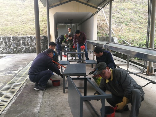 施武星：龍巖分公司乳化一車間支部組織黨員給車間鐵質(zhì)平臺、踏板刷漆.jpg