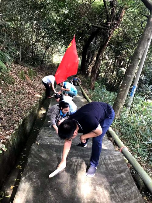 陳宏金：不忘初心 牢記使命，永春分公司組織機關(guān)黨員清理上下班臺階的青苔1.jpg