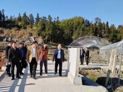 海峽科化公司黨委書記、董事長吳彩洪到福安市城陽鎮(zhèn)仙嶺村調(diào)研鄉(xiāng)村振興工作并慰問駐村干部2.jpg