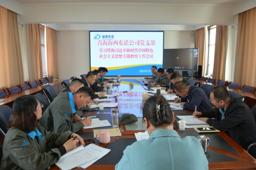 格式工廠青海海西東諾化工有限公司召開學習貫徹習近平新時代中國特色社會主義思想主題教育工作會議現(xiàn)場.jpg