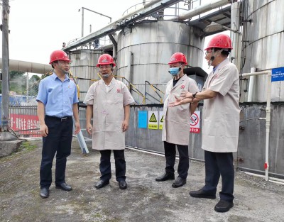格式工廠省機(jī)電控股公司黨委副書記、總經(jīng)理董飛龍，黨委委員、副總經(jīng)理吳大文在永安雙華公�?.jpg