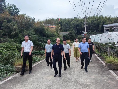 格式工廠福安黃曉志：圖為省機(jī)電控股公司黨委委員、副總經(jīng)理吳大文到福安市仙嶺村開展鄉(xiāng)村振興工作調(diào)�?(2).jpg